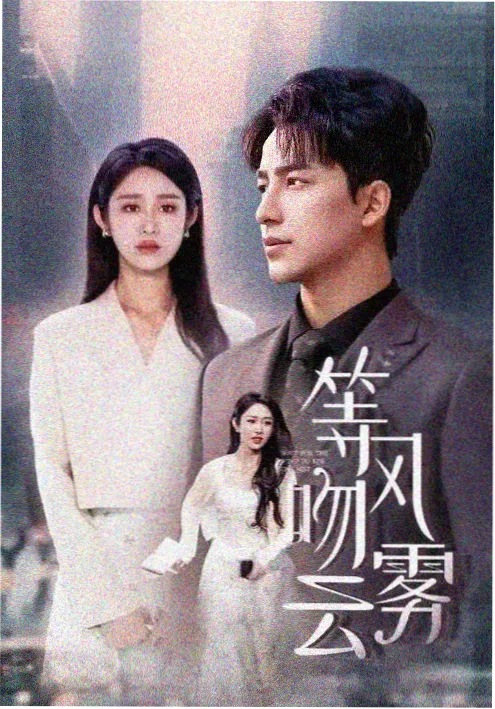 生活流好看电视剧《灶台春秋》海报